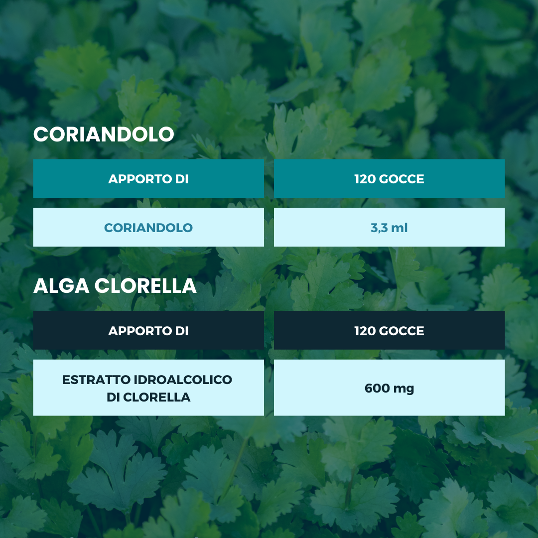 Spazio Ecosalute Chela Kit tinture clorella coriandolo