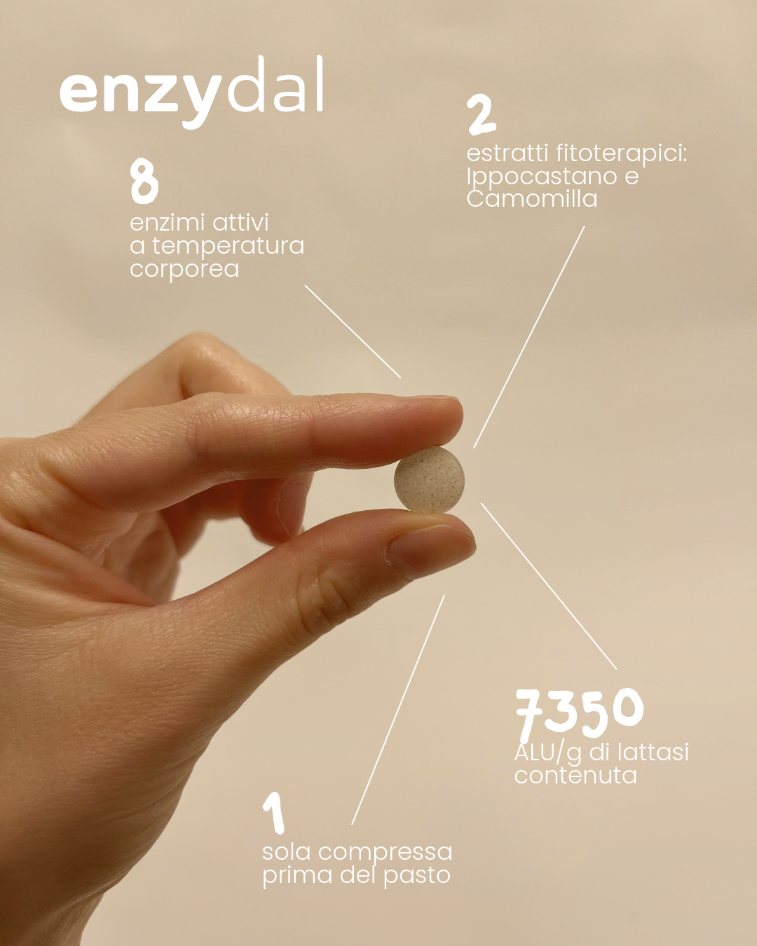 Sitar Fitodal Enzydal compresse 40 pz digestione enzimi