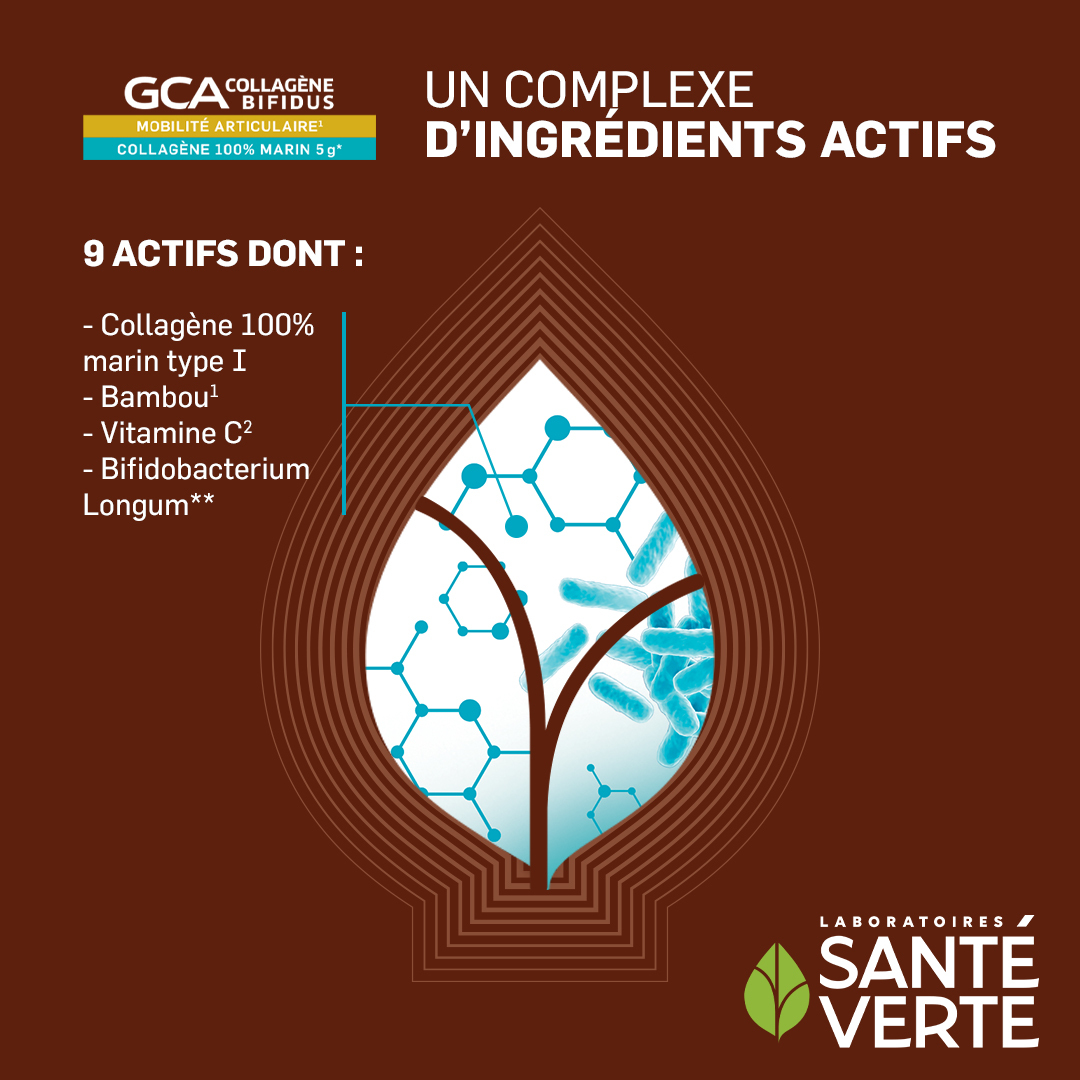 Sante Verte GCA 2700 Collagene Bifidus integratore 5g marino