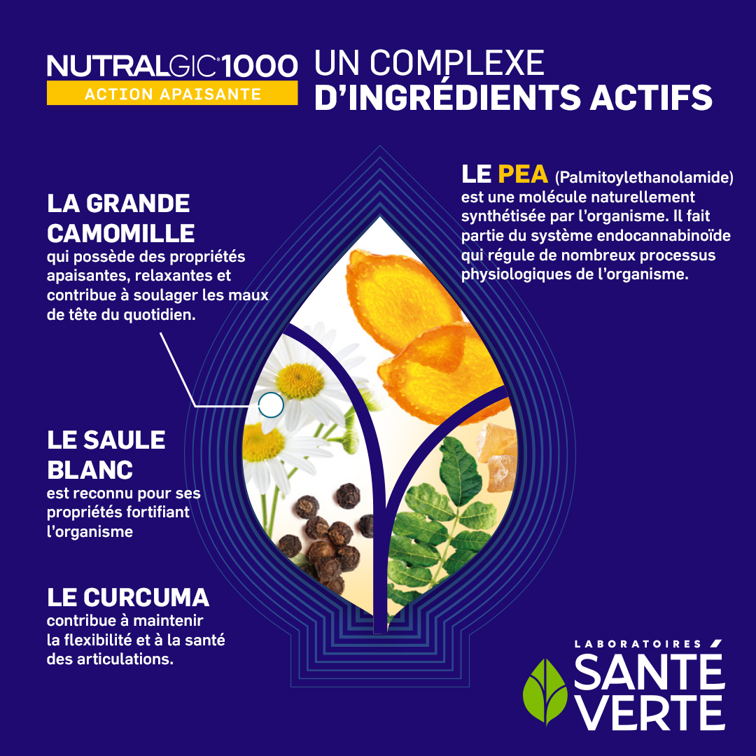 Santé Verte Nutralgic 1000 integratore testa 15 compresse