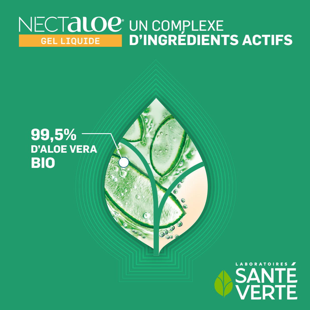 Santé Verte Nectaloe Gel Liquido BIO succo aloe vera puro