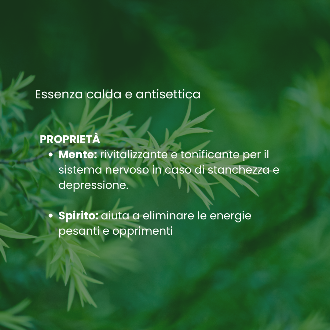 Spazio Ecosalute Tea Tree Olio Essenziale Purificante 30 ml
