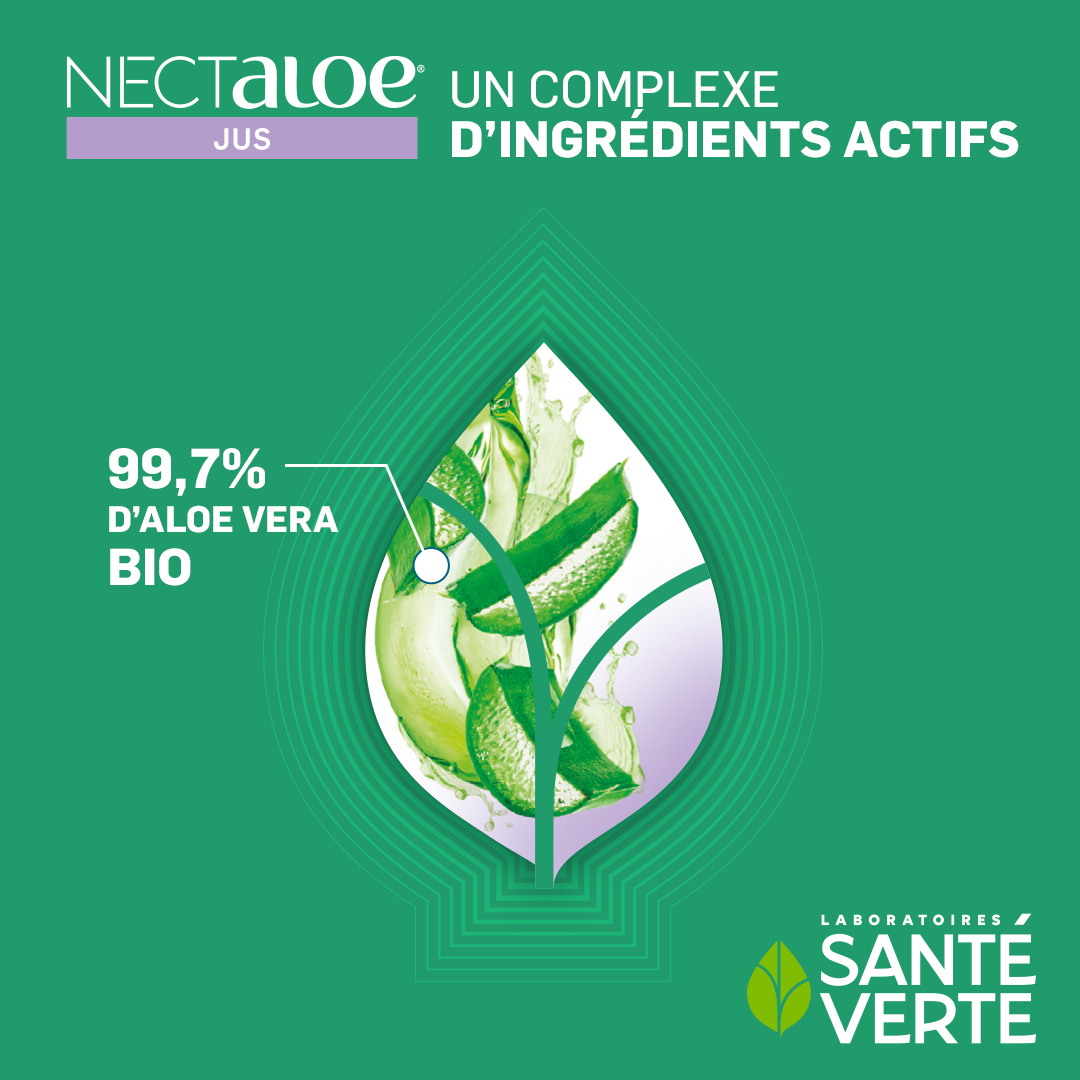 Santé Verte Nectaloe Jus Bio Succo Aloe Vera Biologico Vegetariano