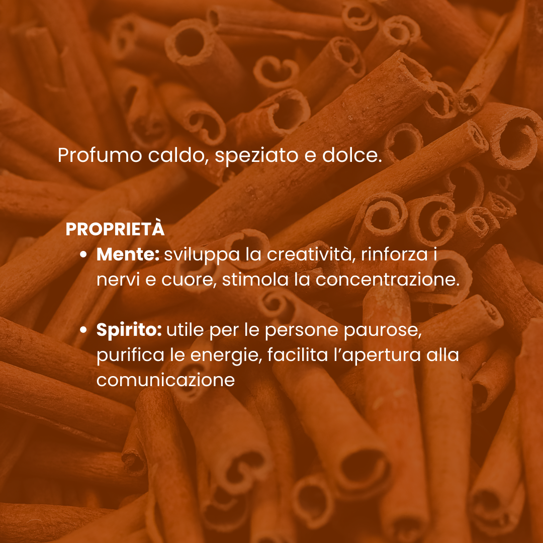 Spazio Ecosalute Oli Essenziali Cannella olio 30 ml