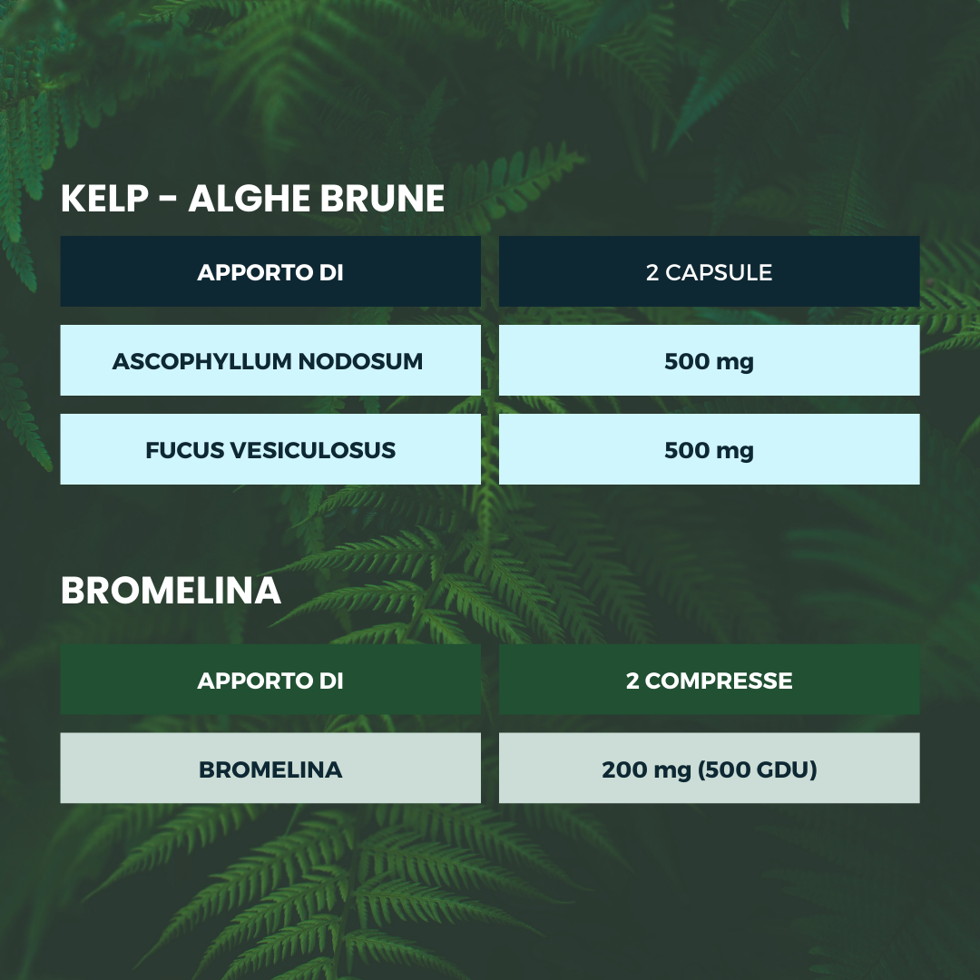 Spazio Ecosalute Drena & Snellisci bromelina alga kelp drenante