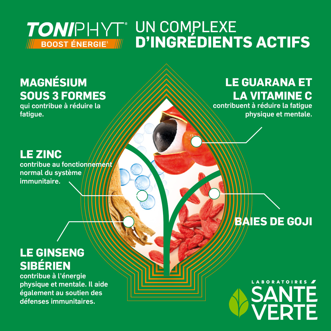 Santé Verte Toniphyt Boost Energia limone menta senza zuccheri