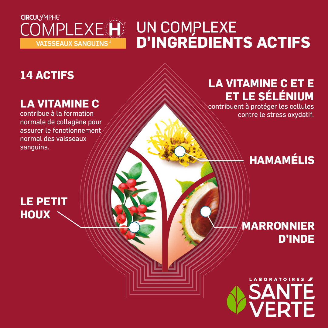 Santé Verte Circulymphe Complexe H stick circolazione melograno