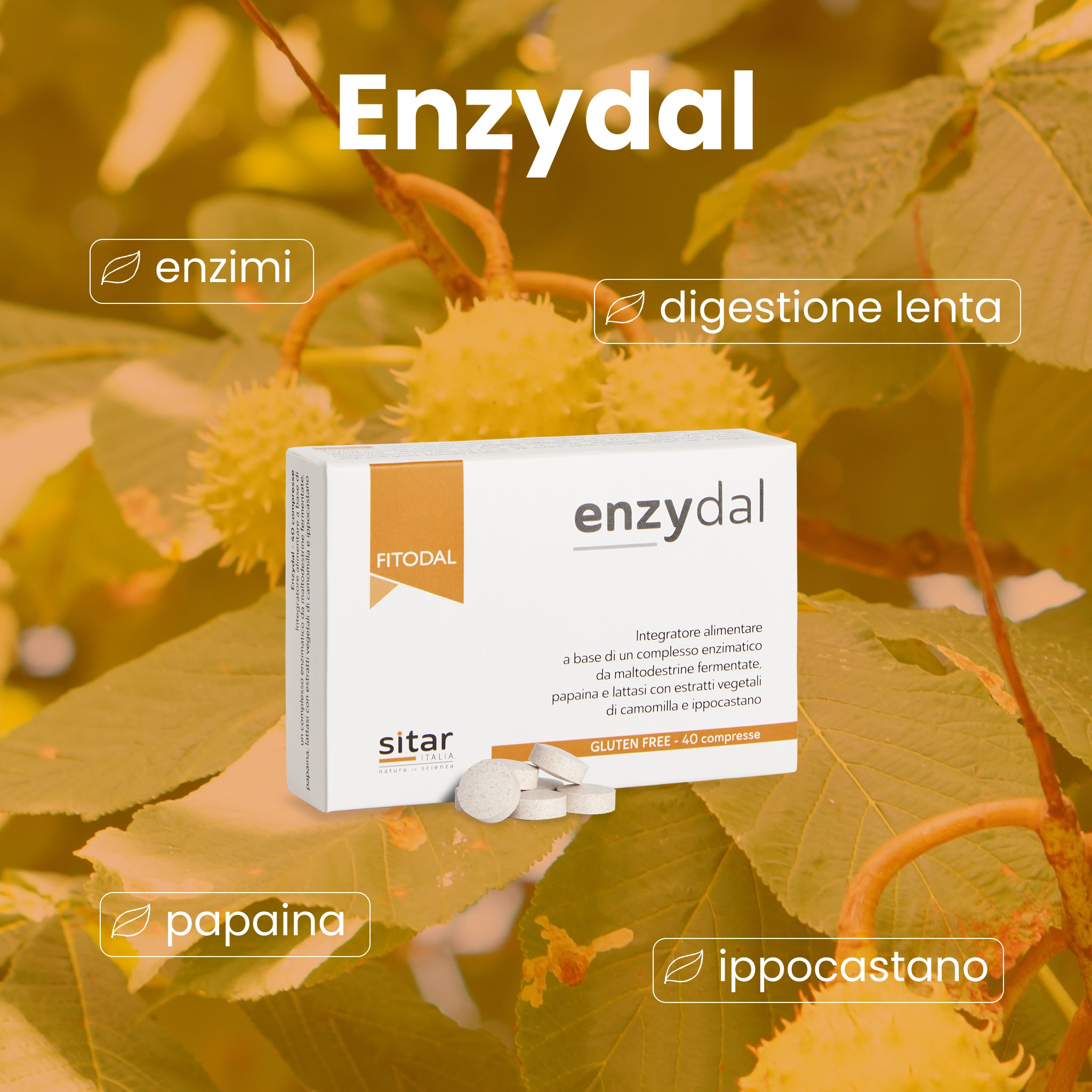 Sitar Fitodal Enzydal compresse 40 pz digestione enzimi