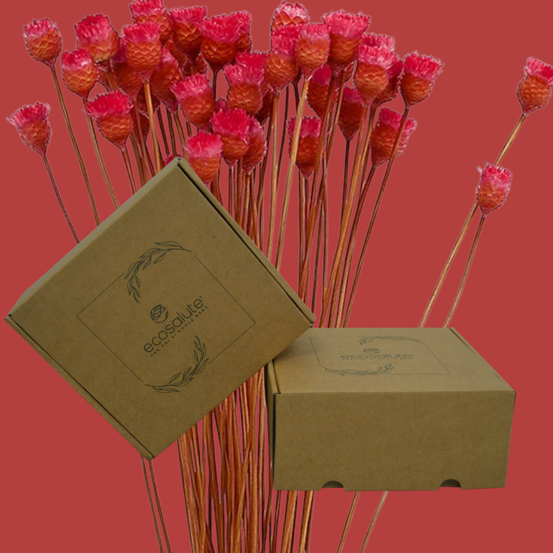 Spazio Ecosalute Idee Regalo Cofanetto Red Passion Viso Melograno