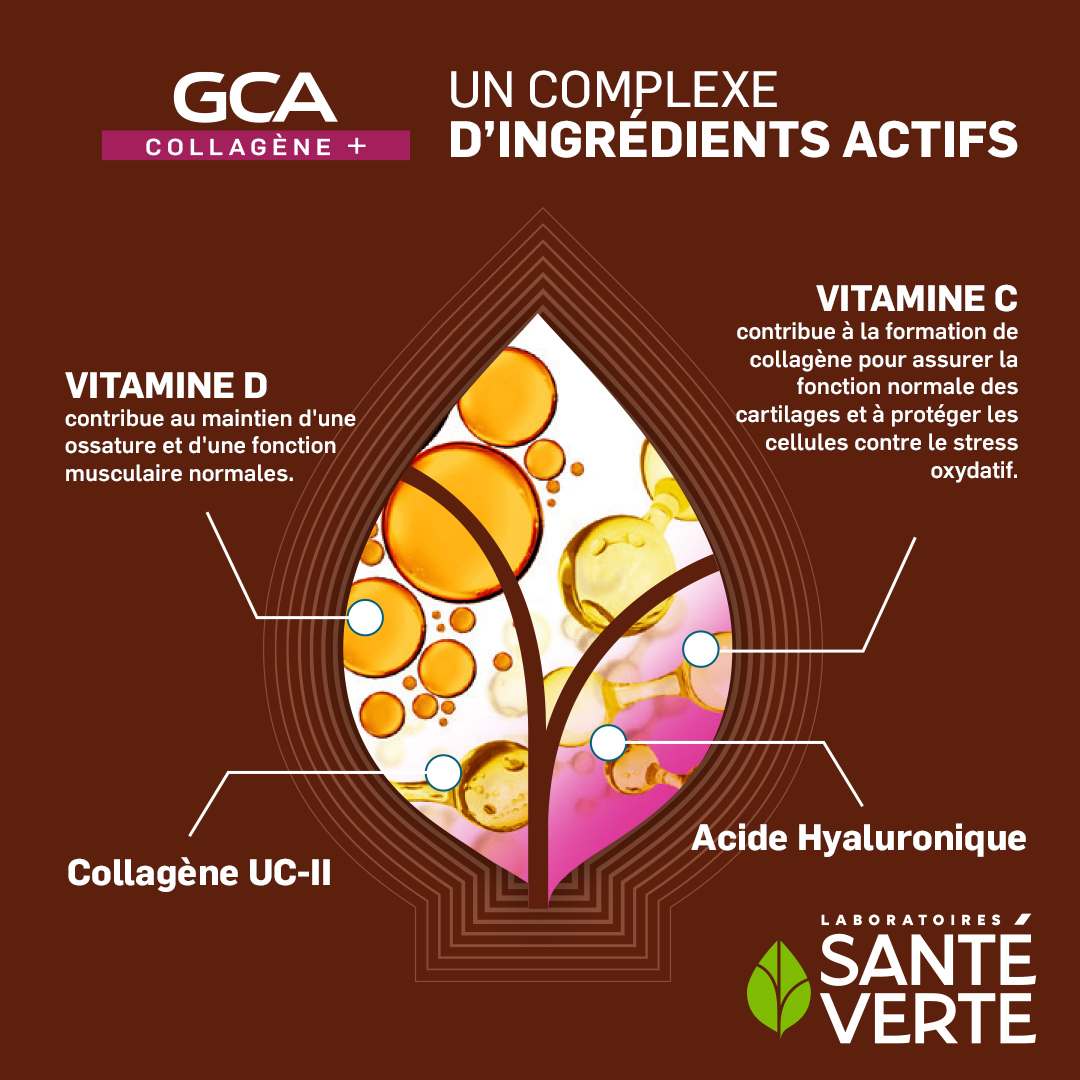 Sante Verte GCA 2700 Collagene+ integratore articolazioni cartilagine