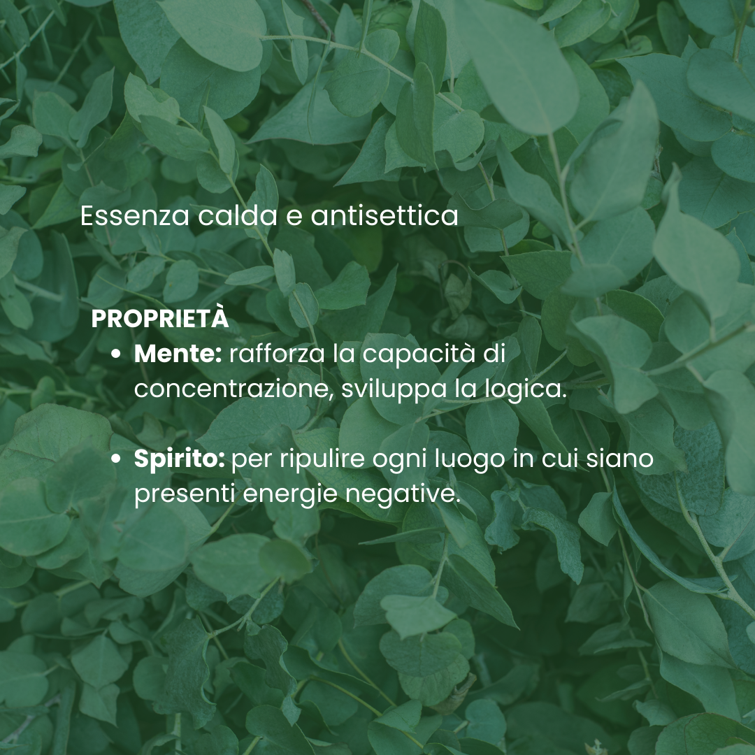 Spazio Ecosalute Olio Essenziale Eucalipto 30 ml balsamico