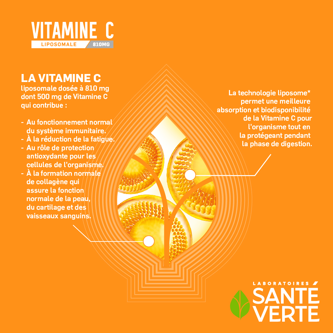 Santé Verte Ingredienti Vitamina C Liposomale 500 mg Integratore