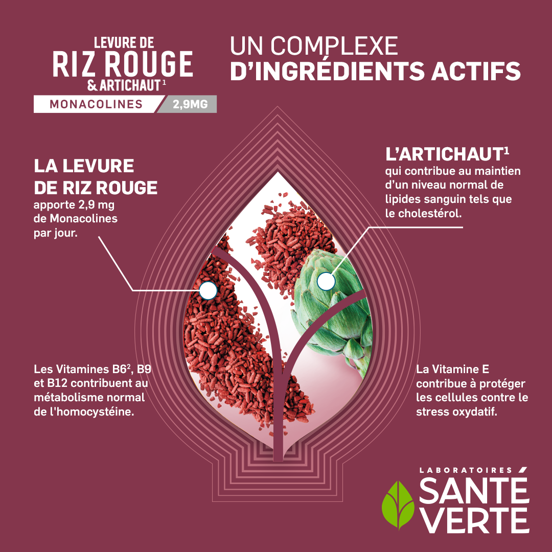 Sante Verte Ingrédients Experts Lievito Riso Rosso Carciofo capsule