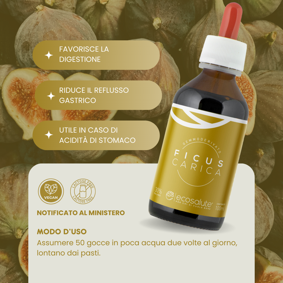 Spazio Ecosalute Intestino Ficus Carica Gemmoderivato Gocce 100 ml