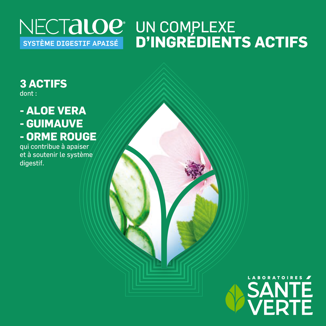 Sante Verte Nectaloe Stick Digestivi Gusto Mango Attivi Vegetali