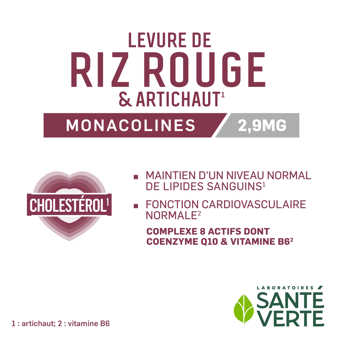 Sante Verte Ingrédients Experts Lievito Riso Rosso Carciofo capsule