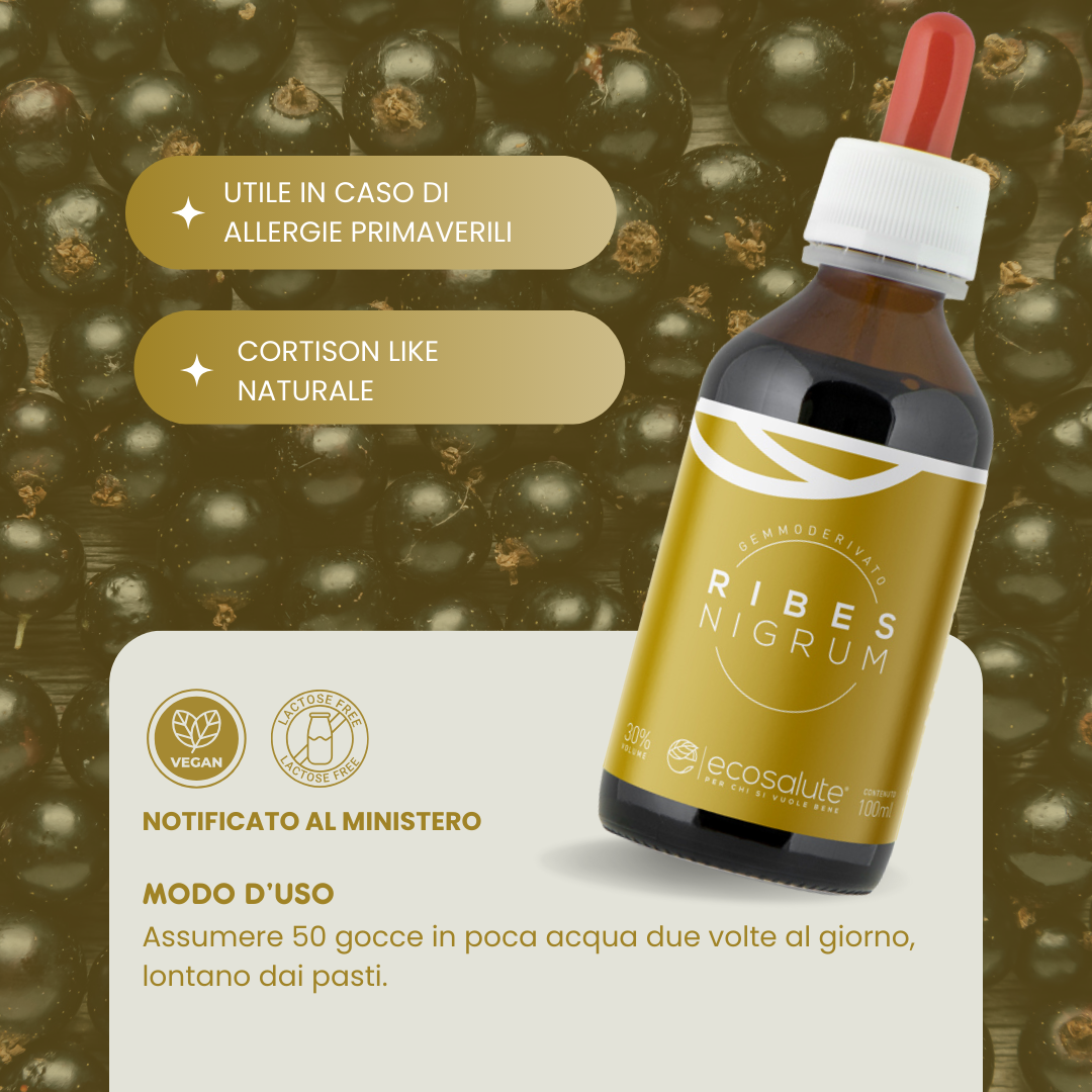 Spazio Ecosalute Sistema Immunitario Ribes Nigrum gocce 100 ml