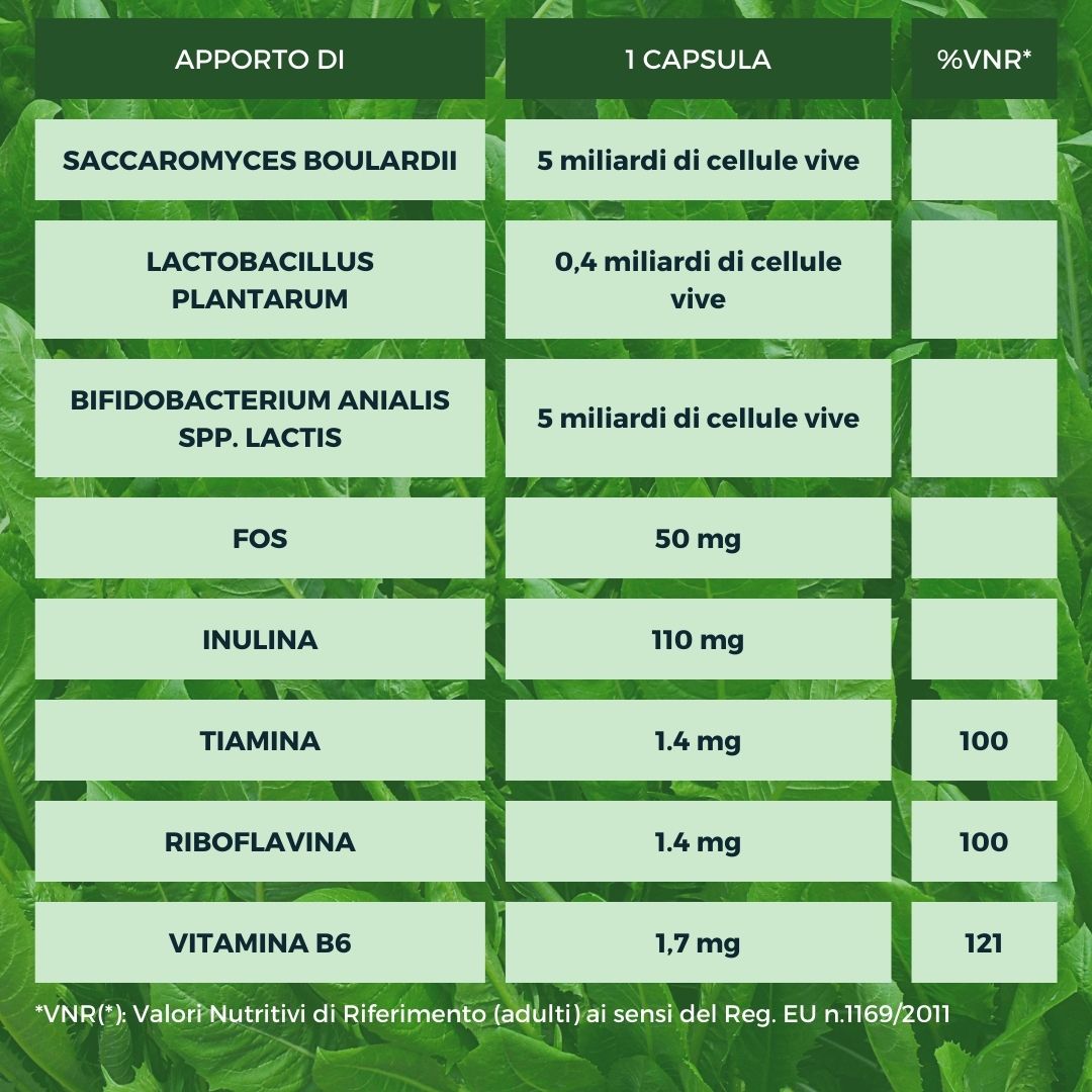 Spazio Ecosalute Floravita Plus fermenti lattici capsule 30 intestinali