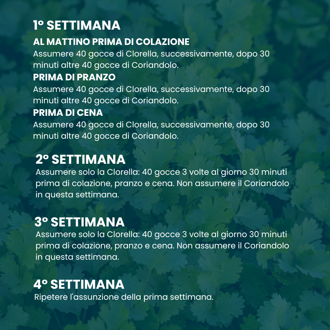 Spazio Ecosalute Chela Kit tinture clorella coriandolo