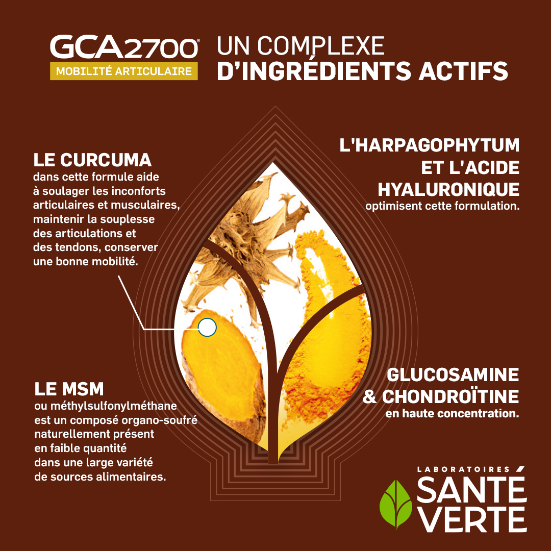 Santé Verte GCA 2700 integratore articolazioni 100 compresse curcuma