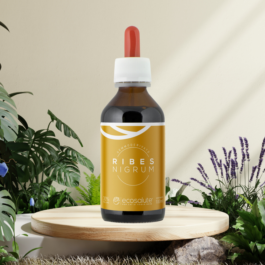 Spazio Ecosalute Sistema Immunitario Ribes Nigrum gocce 100 ml